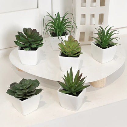 6PCS Mini Evergreen Artificial Succulent Potted Plants